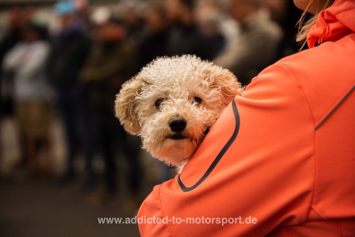 Benji - begeistert von Lauras Kamera - Petro Surf 2019 (Foto: Laura Tiedtke)